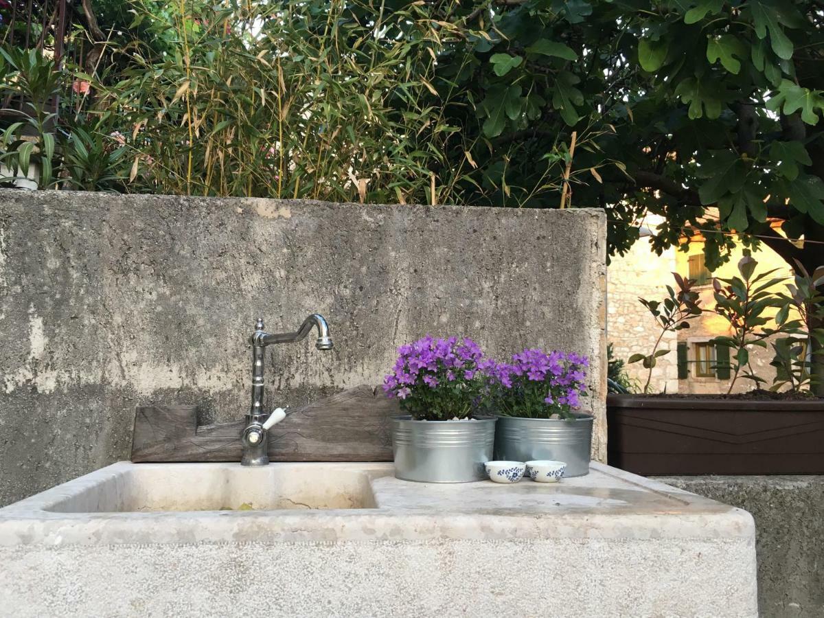 Villa Di Piazza Višnjan المظهر الخارجي الصورة